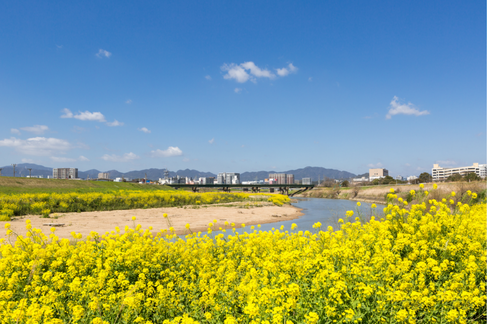 飯塚市で注文住宅を建てる費用相場は？家づくりの注意点や地域ごとの特徴もご紹介！