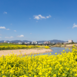 飯塚市で注文住宅を建てる費用相場は？家づくりの注意点や地域ごとの特徴もご紹介！