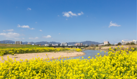 飯塚市で注文住宅を建てる費用相場は？家づくりの注意点や地域ごとの特徴もご紹介！